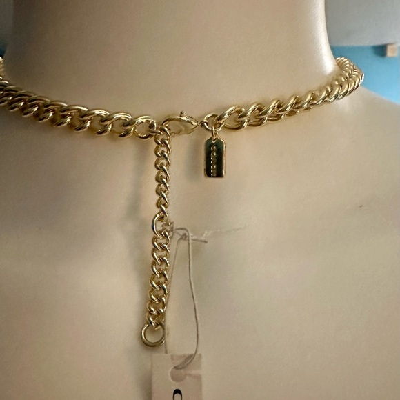 Coach Heart Pink Multi Turnlock Pavé Chain Link Necklace - Picture 6 of 16